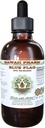Blue Flag Alcohol- Free Liquid Extract, Organic Blue Flag (Iris versicolor) Sušený Root Glycerite Hawaii Pharm Natural Bylinný doplněk 2 oz