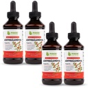 Maxx Herb Ashwagandha Extract - Max síla tekutá tinktura Absorbuje lepší než kapsle nebo prášek - pro Stamina, Paměť, a imunitní podpora - 4 láhve, 4 Oz každý (240 Servings)