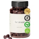 Debloat Gummies - Rychlé nafouknutí a plyna- Bylinná stravovací podpora s jablečným octem, Pampeliška a Zelená Tea- Cítit lehčí, pohodlné a energizované - 60 Gummies