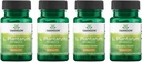 Swanson L. Plantarum - Dědičný dodatek Podpora Gastrointestinální rovnováhy & Bowel Regularita - Přírodní vzorec, který pomůže snížit nadýmání - (30 Veggie Kapsle) 4 Pack
