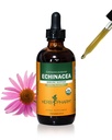 Herb Pharm Certified Organic Echinacea Root Liquid Extract pro podporu imunitního systému, Organic Cane Alkohol, 4 Ounce