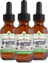 RawGuru Methylfolát 1mg + vitamin B12 - Organic Vegan Methylovaný B12 s stopovými minerály - Nano- Zpracovaná a vylepšená tekutá formule - 300 Podání Veganských kapek na 30 ml, balení po 3 ks