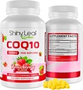 Shiny Leaf CoQ10 100mg - Žvýkací CoQ10 dodatek - Koenzym Q10 pro srdeční zdraví a energii - Přírodní Co Q 10 dodatek - Pro kardiovaskulární Wellness - 100mg Žvýkací tablety, 30 tablet, Made in USA