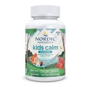 Nordic Naturals Kids Calm Gummies - Jahodový meloun - 60 Gummies - Magnesium L- Theanine dodatek - Uklidnění pro děti - Relaxační podpora - Až 60 Služeb