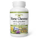 HerbalFactors by Natural Factors, Horse Chestnut, Antioxidant Support for a Health Circulatory System and Veins with GrapeSeedRich, 60 tobolek (60 porcí)