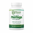 Moringa Powder Kapsle - 800mg čisté živiny - Rich Moringa Powder (60 Veg.CAPS)