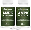 AMPK Activator Dodatek, 5 v 1 Jiaogulan Gynostemma AMPK Metabolický aktivátor 120 Vegetariánské kapsle (120 Počet (Balení 2))