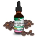 Příroda odpověď Saw Palmetto Berry Extract Bylinný dodatek s organickým alkoholem, 1-Fluid Ounce current 124; Podporuje Prostate zdraví 124; Minimalizovat vypadávání vlasů 124; Udržuje zdravé žlučník
