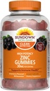 Sundown High potency zinkové gumy, 90 Počet