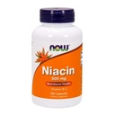Nyní Potraviny doplňky, Niacin (Vitamin B-3) 500 mg, Esenciální B- Group Vitamin *, Nutritional Health, 100 Kapsle