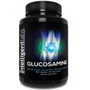 Inteligentní Labs Glucosamin a Chondroitin Vysoký Pevný komplex s MSM clarm 124; 180 Kapsle CARL 124; Podpora imunitního systému CARL 124; s Turmeric, Boswellia, a Quercetin Doplňky společné péče