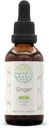 HerbEra Ginger B60 Alcohol- Free Bylinný extrakt tinktura, superkoncentrát zázvor (Zingiber officinale) 2 fl oz