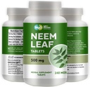 Neem Tablets - 100% čisté (Azadirachta Indica) (240 Počet - 500 mg) 120 dní dodávky (1 balení)