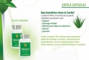 Nutrisalud Produkty Capsulas de Savila, Aloe Vera Kapsle 500 mg. Set de 2 frascos 100 capsulas CADA uno.Efectivo Contra ulceras, agruras, mala Digestion, kolitida, estreñimiento. Dura mas de 3 Meses.