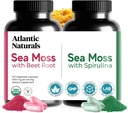 Atlantic Naturals Sea Moss Superfood Bundle - Mořský Mos s řepou a Spirulina Kapsle - Podpora obrany, krevní tok, Společné zdraví & železo - 240 Kapsle (2 x 120 ct)