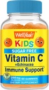 WellYeah Echinacea (5 mg) s vitaminem C (250 mg) Bez cukru gumy pro děti 124; doplněk imunitní podpory 124; Orange Flavor 124; 60 Počet