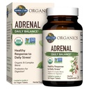 Zahrada života Organics Adrenal Daily Balance, Adaptogenní Byliny Ashwagandha, Svatý Basil, B Complex & Probiotika, Organic Non- GMO, Vegan, gluten zdarma dodatek, Dva měsíce dodávky, 120 Tablety