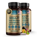 Shilajit Čisté Himalájské organické kapsle s Irským mořem Moss, Ashwagandha, Měď, Beet Root - Fulvic Acid Trace Minerály dodatek pro muže a ženy - 90 hrabě, Non- GMO, gluten- bez