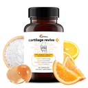 UpWellness Cartilage Revive + Joint Support Supplementary for Men and Women with Type II Collagen for Joints - D- Glucosamine Sulfath, MSM, Vitamin D3, Vitamin C a další - 60 Kapsle