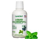 Land Art - Liquid Chlorofyl Mint - Cold-Extrahované z Wild Non- GMO Alfalfa - Natural Clorofila Liquida - Antioxidant - Detox Supplement - Boost Energy - Alkalizace & Tělo Odor Neutralizer - 16 floz