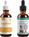 Rejuvica Health Active Rhoddiola + Active Adrenal - Support Energy + Stress - Liquid Delivery for Better Absorption - Rhoddiola, Ashwagandha, Holy Basil & More!