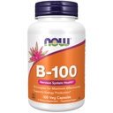 Nyní Potraviny doplňky, Vitamin B-100, Výroba energie *, Nervový systém zdraví *, 100 Veg Kapsle