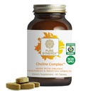 PURE SYNERGY Cholin Komplex 124; Vegan Cholin dodatek Vyrobeno s organickou celou potravin 124; Non-GMO Biologicky dostupné Komplex 124; pro těhotenství, mozek a zdraví jater (60 tablet)