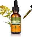 Herb Pharm Certified Organic Goldenrod tekutý extrakt pro podporu močového systému, 1 Fl Oz (balení po 1)