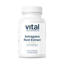 Vital Nutrients - Astragalus Root Extract - Vegan Formule - Bylinná podpora imunitního systému - 90 Vegetariánských kapslí na láhev - 300 mg