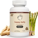 Kyselina a požití Relief, Safe Antacid Alternative for Occasional Acid Reflux & Heartburn, Ginger, Curcumin, Spearmint & More - Phd Doctorated & Clinically-Studied - 30 Servings
