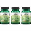 Swanson Lactobacillus Rhamnosus s FOS - Probiotický dodatek podporuje stravitelné zdraví - 5 miliard CFU - Promotes GI Tract Health během cestování - (60 Veggie Caps) 3 Pack