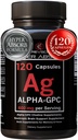 Alpha GPC dodatek & BioPerine pro Hyper Absorpce - 120 Počet, Alpha-GPC 600mg na Serving - Nootropics for Memory, Focus, Energy, & Drive - Choline doplňky pro zvýšení Acetylcholin, Made in USA