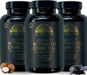 Activated Coconut Charcoal Capsules- Supports Health - Vegan, Organic, Non- GMO, No Additives - X- Large Bottle 210 Count - Pack of 3