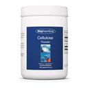 Alergie Research Group Cellulosa Powder - Mikrokrystalická celulosa Powder, 2000mg Nerozpustný doplněk vlákna, Prášková celulosa, Non- fermentabilní, hypoalergenní - 8.8 Oz