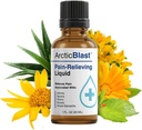 N Labs Arctic Blast Premium Topical Pain Relief Drops - Fast Absorbing DMSO, Menthol & Camphor for Back, Knee, Ramender, Joint & Muscle Pain - Cooling Rub Formule - Made in USA - 1 fl oz
