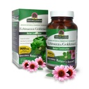 Odpověď přírody Echinacea & Goldenseal 124; Dietní dodatek 124; Podporuje zdravý imunitní systém 124; Non-GMO & Kosher Certified OF 124; Vegetariánské / Veganské kapsle 90ct