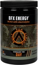 BFX Energy Pre Workout Supplement (BlackBerry Lemonade) s BCAA, Electrolytes, a zelený čaj Leaf pro přírodní kofein, Intra a Post Workout Muscle Recovery, 30 Služeb