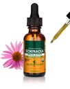 Herb Pharm Certified Organic Echinacea Root Liquid Extract pro podporu imunitního systému, Organic Cane Alkohol, 1 Ounce (DECH01)