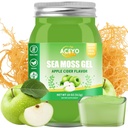 (18 OZ) Irish Sea Moss Gel Organic Raw Vegan Apple Flavor 102 Vitamíny a minerály Wild Sklizeň Non- GMO imunitní obrana Booster štítné žlázy Trávicí podpora