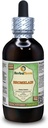 Bromelain (Ananas Comosus) Glycerit, sušený prášek - bez tekutého extraktu (značka: HerbalTerra, Proudly Made in USA) 4 fl.oz (120 ml)