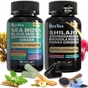 Boysea. Shilajit a Moss Bundle- 90 Hrabě - Mos Moss, Black Seed Oil, Ashwagandha, Ginger & Shilajit, Rhoddiola Rosea, Vše v 1 Doplňky (1 Pc)