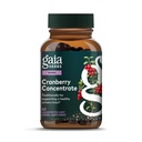 Gaia Byliny Cranberry koncentrát - Pomáhá udržovat močové trakt zdraví - Vyrobeno s organickým brusinkovým ovocným džusem Extract v Pohodlné kapsle - 60 Veganské tekuté fyto- Kapsle (30- Day Supply)