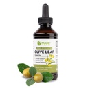 Maxx Herb Olive Leaf Extract - Max Strength Oleuropein Liquid Absorbs Lepší než Kapsle nebo čaj, pro imunitní podporu, srdeční zdraví a sezónní Wellness - 4 Oz Lahvička (60 Servings)