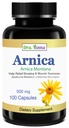 Arnica Montana Kapsle 500 mg 100 Kapsle