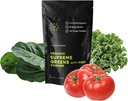 Organic Superfood Green Powder with MSM, for Gut Health, Digestion, Imunitary Support, Energy, and More (Sugar Free, Non-GMO, Keto, Vegan), 60 Servings, 30 Day Supply