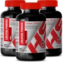 Body Builder for men - CREATINE Powder 100G - Creatine Bulk - 3 Lahvička (prášek)