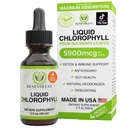 Benevolentní Chlorofyl kapalné kapky - Detox & Imunitní podpora, Interní deodorant & Kožní doplněk zdraví, Non- GMO, 4 Měsíční dodávky, Přírodní máta Flavor