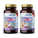 Solgar Kangavites, Blockin 'Berry Flavor - 120 žvýkací tablety, balení po 2 - Kompletní Multivitamin & Mineral Formule pro děti - Vegan, gluten zdarma