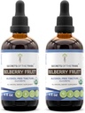 Tajemství Tribe Bilberry Fruit Alluhol- Free Liquid Extract, USDA Organic Bilberry (Vaccinium Myrtillus) Sušený ovocný tinktura dodatek (2x4 FL OZ)