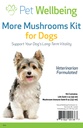 Pet Wellbeing Více Houby Kit pro psy - Podpora imunitního systému a antioxidant ochrana - Vet- Vyrobeno s krůtí ocas, Reishi, Maitake, Astragalus